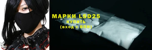 ECSTASY Богданович