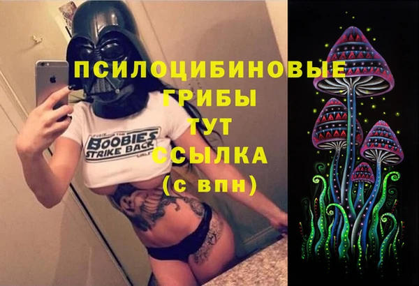 PSILOCYBIN Богородск
