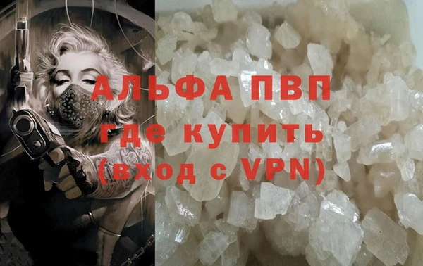 ECSTASY Богданович