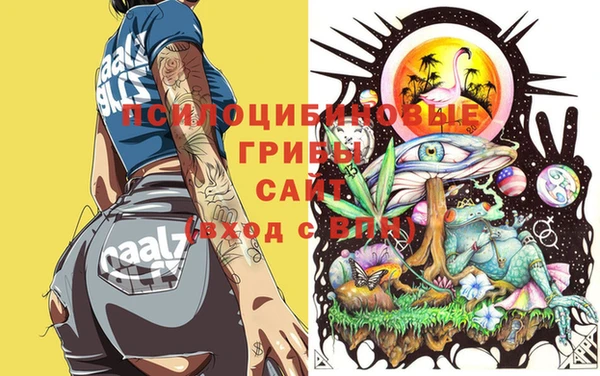 ECSTASY Богданович